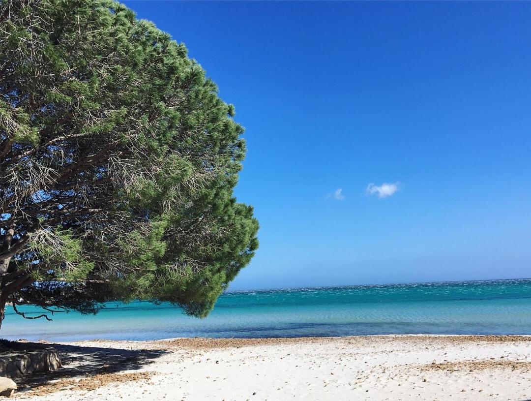 Proche Des Belles Plages Apartment